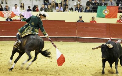 Tribunal considera inconstitucional proibição de touradas