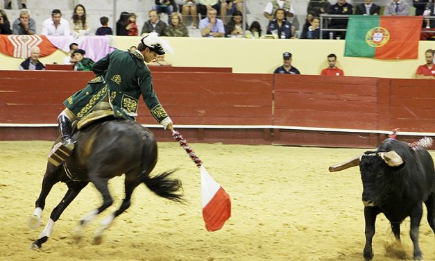 Tribunal considera inconstitucional proibição de touradas