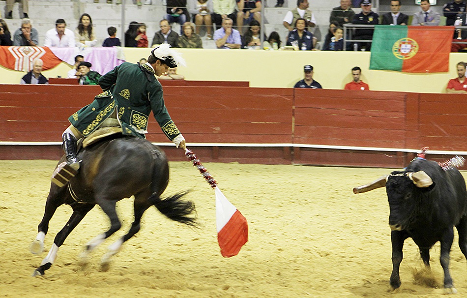 Tribunal considera inconstitucional proibição de touradas
